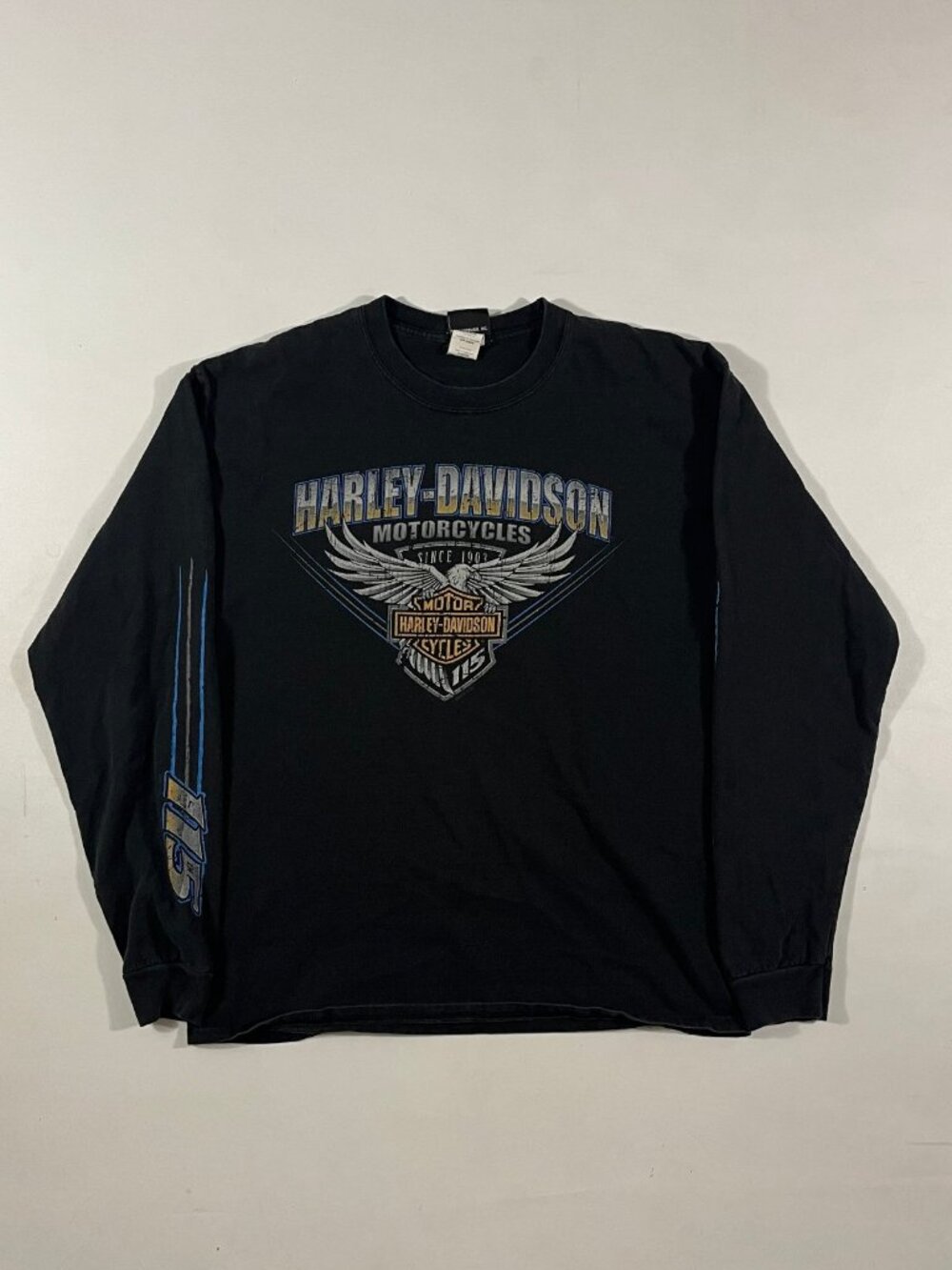 Harley-Davidson No Cages Plain City Ohio Eagle Graphic Long Sleeve Tee Large